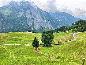 Foto vom Lernende-Lager in Uri